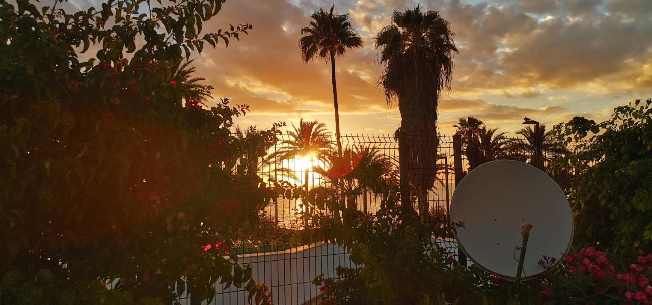 Apartamento Playa Las Americas プラヤ・デ・ラス・アメリカス エクステリア 写真